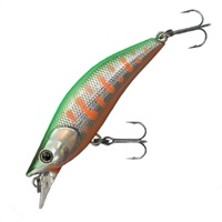 ムックリ　５２Ｆ